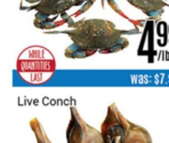 Nations Fresh Foods Live blue crab offer