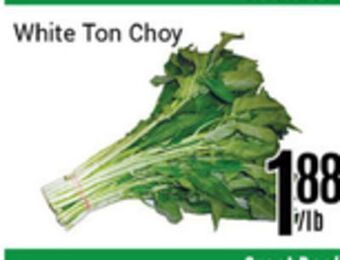 Nations Fresh Foods White ton choy offer