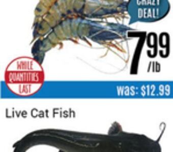 Nations Fresh Foods Previously frozen head on black tiger shrimp offer