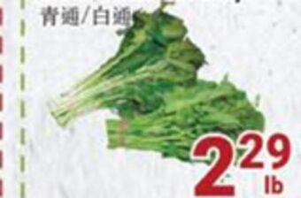 Oceans Fresh Food Market Green/white ton choy offer