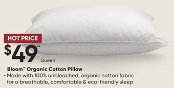 Sleep Country Bloom organic cotton pillow offer