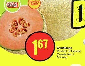 FreshCo Cantaloupe offer