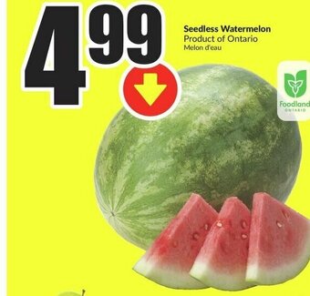 FreshCo Seedless Watermelon offer