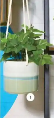 Real Canadian Superstore Hanging Planter offer