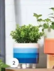 Real Canadian Superstore Faux Plant In Ombre Planter offer