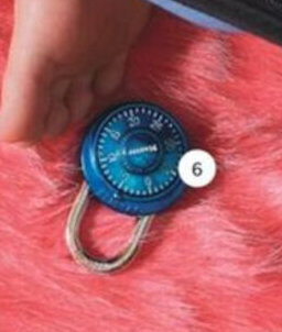 Real Canadian Superstore Master lock extreme combination lock offer