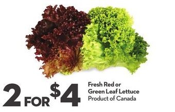 Longo's Fresh red or green leaf lettuce offer
