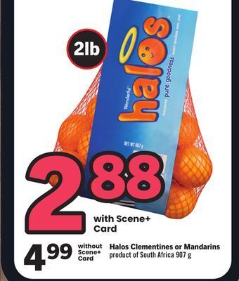 Foodland Halos clementines or mandarins product of south africa 907 g offer