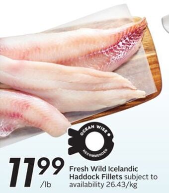 Sobeys Fresh wild icelandic haddock fillets offer
