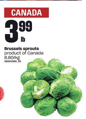 Loblaws Brussels sprouts offer