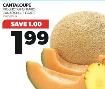 Real Canadian Superstore Cantaloupe offer