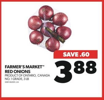 Real Canadian Superstore Farmer's market red onions, 3 lb offer