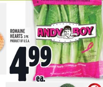 Metro Andy boy romaine hearts offer