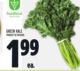 Metro Green kale offer
