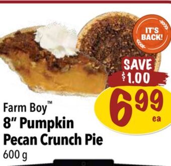 Farm Boy Farm boy 8 pumpkin pecan crunch pie offer