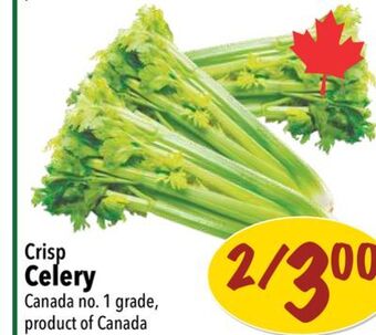 Farm Boy Crisp celery offer