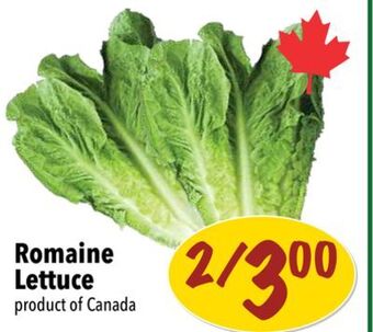 Farm Boy Romaine lettuce offer