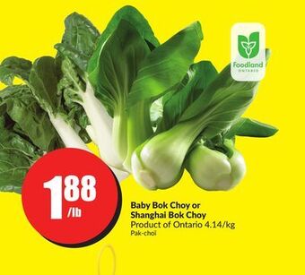 Chalo FreshCo Baby bok choy or shanghai bok choy product of ontario 4.14/kg offer