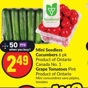 Chalo FreshCo Mini seedless cucumbers 6 pk product of ontario canada no. 1 grape tomatoes pint product of ontario offer