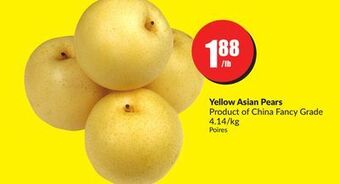 FreshCo Yellow asian pears product of china fancy grade 4.14/kg offer
