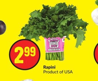 FreshCo Rapini product of usa offer