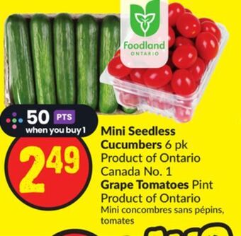 FreshCo Mini seedless cucumbers 6 pk product of ontario canada no. 1 grape tomatoes pint product of ontario offer