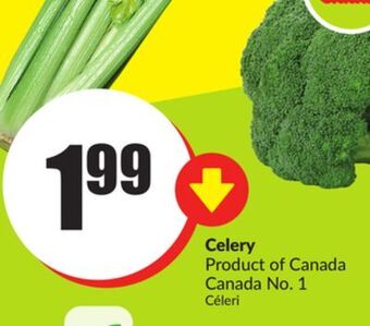 FreshCo Celery product of canada canada no. 1 offer