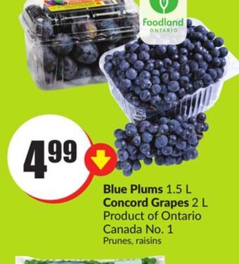 FreshCo Blue plums 1.5 l concord grapes 2 l product of ontario canada no. 1 offer