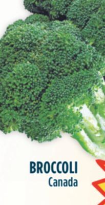 Marché Adonis Broccoli offer