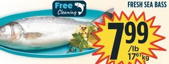 Marché Adonis Fresh sea bass offer