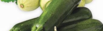 Marché Adonis Green zucchini offer