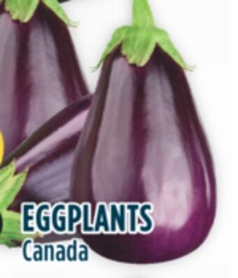 Marché Adonis Eggplants offer