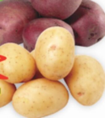 Marché Adonis White or red potatoes offer