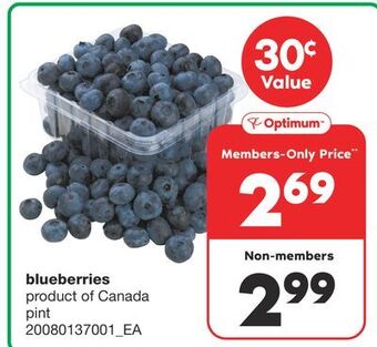 Wholesale Club Blueberries, pint offer