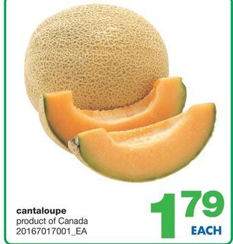 Wholesale Club Cantaloupe offer