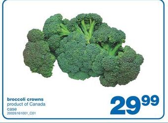 Wholesale Club Broccoli crowns offer