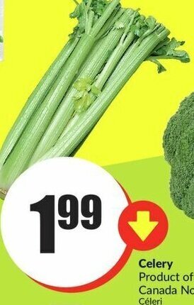 FreshCo Celery offer