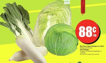 FreshCo Bok Choy, Napa Cabbage or Lo Bok , Flat Cabbage offer