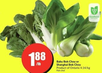 FreshCo Baby Bok Choy or Shanghai Bok Choy offer