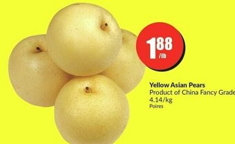 FreshCo Yellow Asian Pears offer