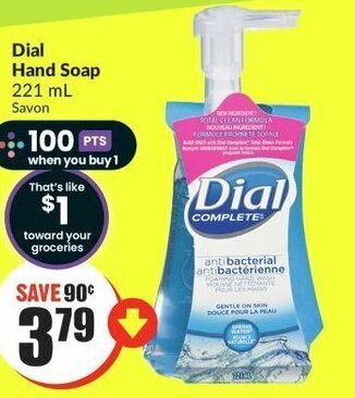 FreshCo Dial Hand Soap 221 mL offer