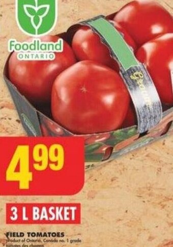No Frills FIELD TOMATOES offer
