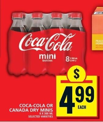 Food Basics COCA-COLA OR CANADA DRY MINIS offer
