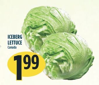 Marché Adonis Iceberg lettuce offer