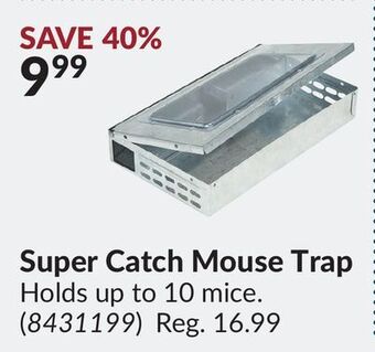 Princess Auto Super catch mouse trap offer