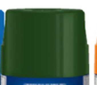 Princess Auto Gloss hunter green multi-surface spray paints offer