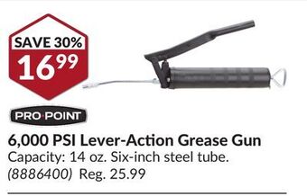 Princess Auto 6, 000 psi lever-action grease gun offer