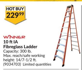 Princess Auto 10 ft ia fibreglass ladder offer