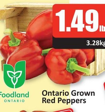 Starsky Ontario grown red peppers offer