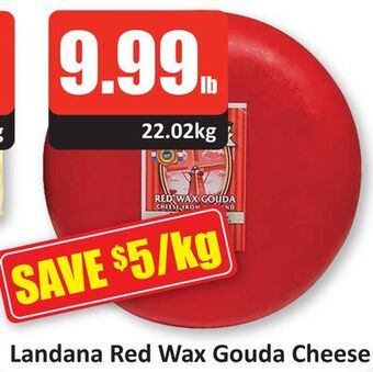 Starsky Landana red wax gouda cheese offer